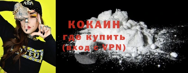 сатива Арсеньев