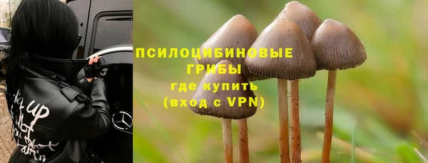 не бодяженный Армянск