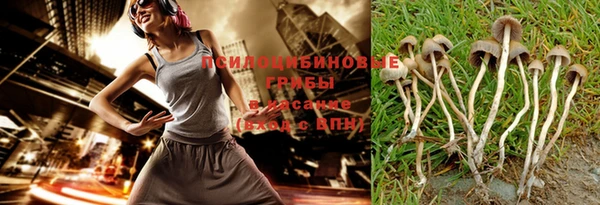сатива Арсеньев