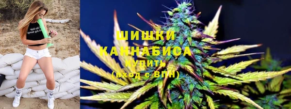 сатива Арсеньев