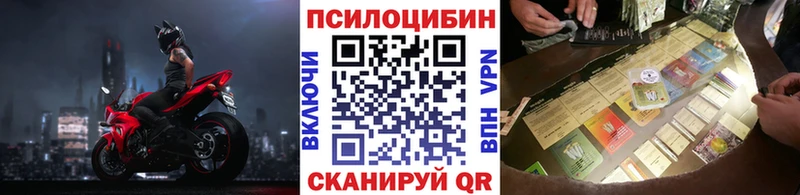 Галлюциногенные грибы Psilocybe дарнет шоп блэк спрут онион Узловая